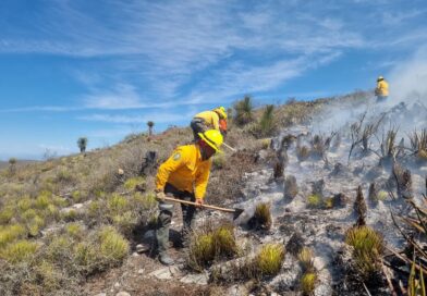 SAN LUIS FORTALECE ESTRATEGIA CONTRA INCENDIOS FORESTALES SAN LUIS FORTALECE ESTRATEGIA CONTRA INCENDIOS FORESTALES